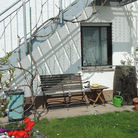 Apartement Am Kirschbaum Mommenheim Exteriör bild