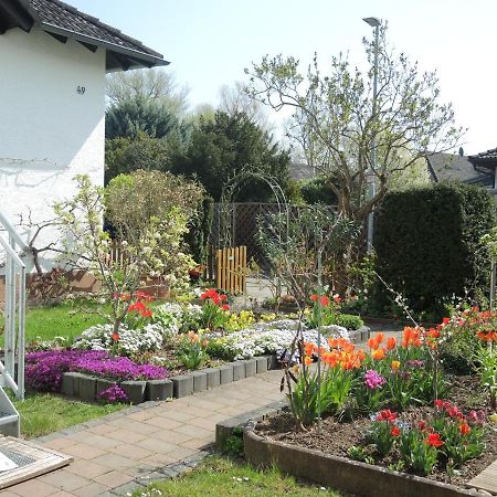 Apartement Am Kirschbaum Mommenheim Exteriör bild