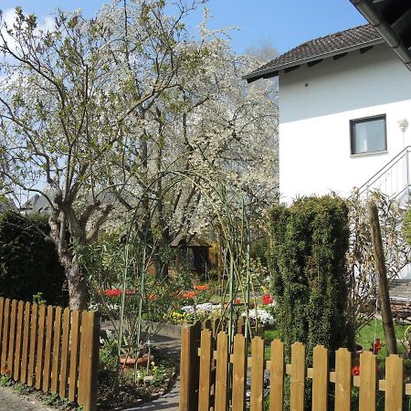 Apartement Am Kirschbaum Mommenheim Exteriör bild