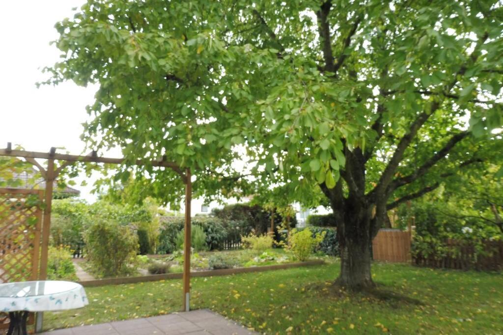 Apartement Am Kirschbaum Mommenheim Exteriör bild