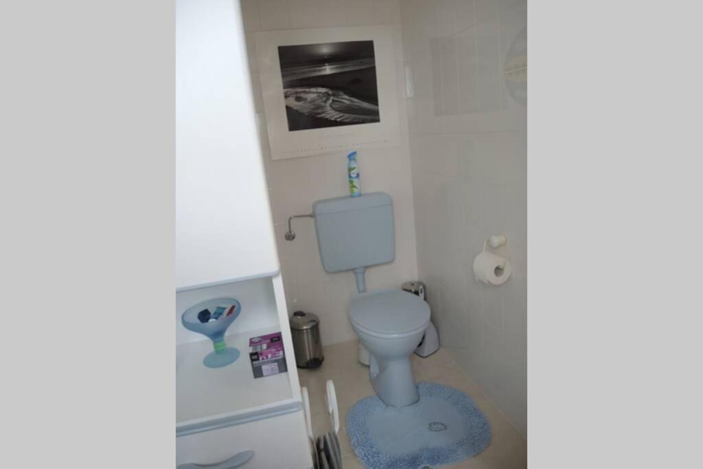Apartement Am Kirschbaum Mommenheim Exteriör bild