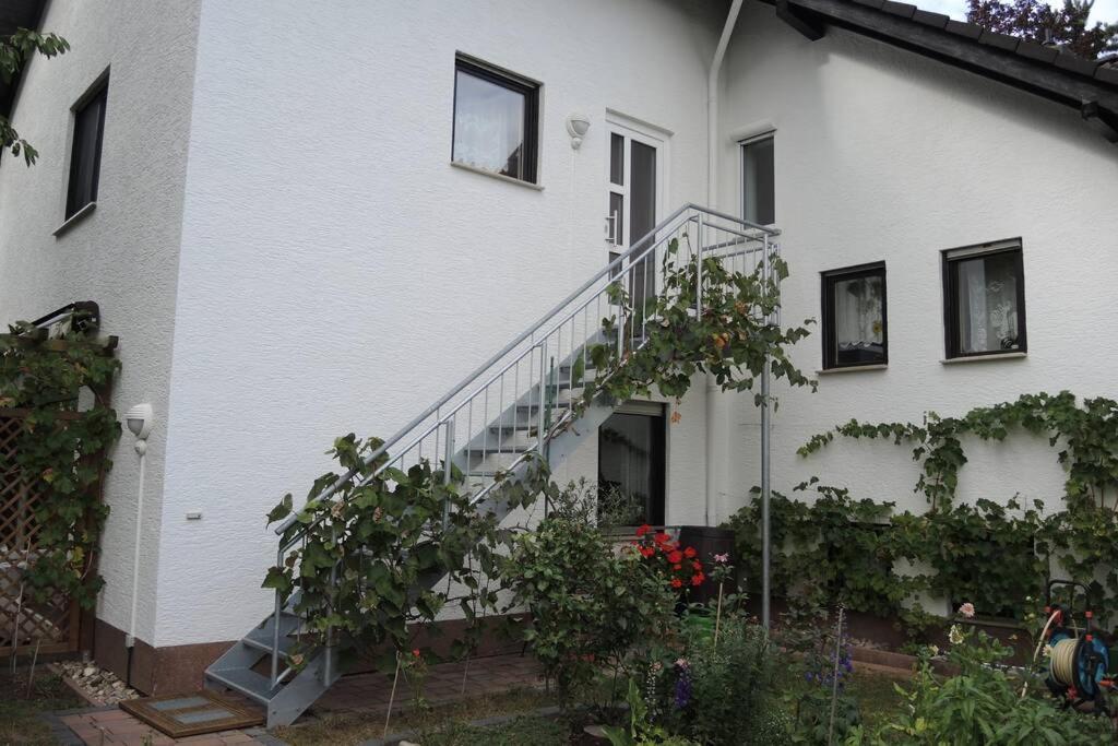Apartement Am Kirschbaum Mommenheim Exteriör bild