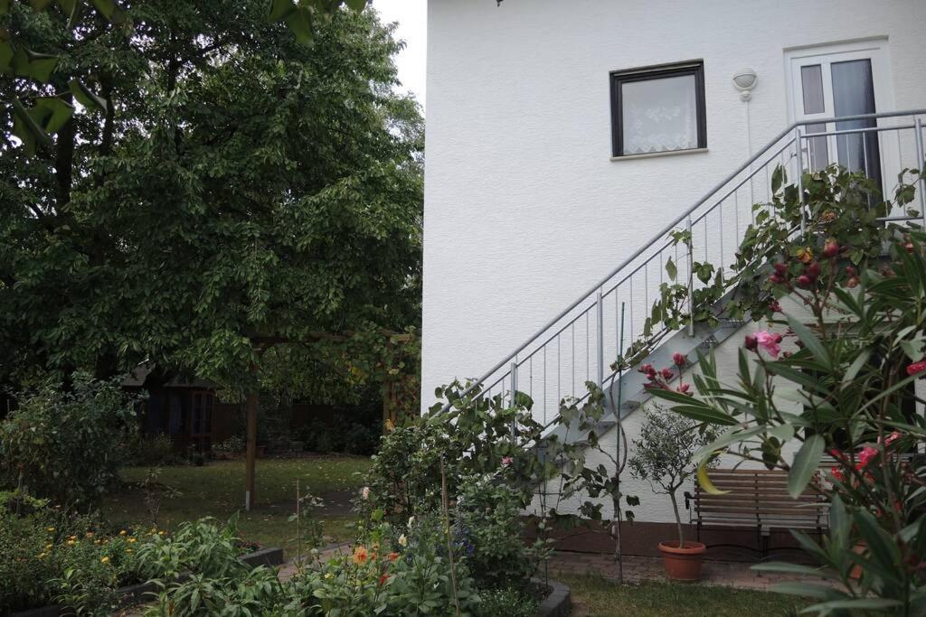 Apartement Am Kirschbaum Mommenheim Exteriör bild